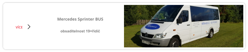 Mercedes Sprinter BUS  obsaditelnost 19+řidič VÍCE