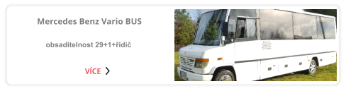 VÍCE  Mercedes Benz Vario BUS  obsaditelnost 29+1+řidič